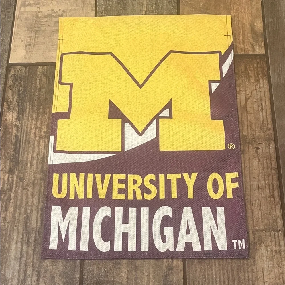 Gray University of Michigan Booties with Pom Poms and gold sequins detail NWOT - Picture 8 of 12